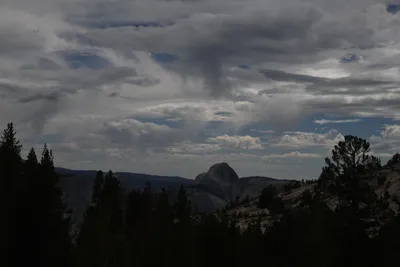 DSC_4402 (Large).JPG